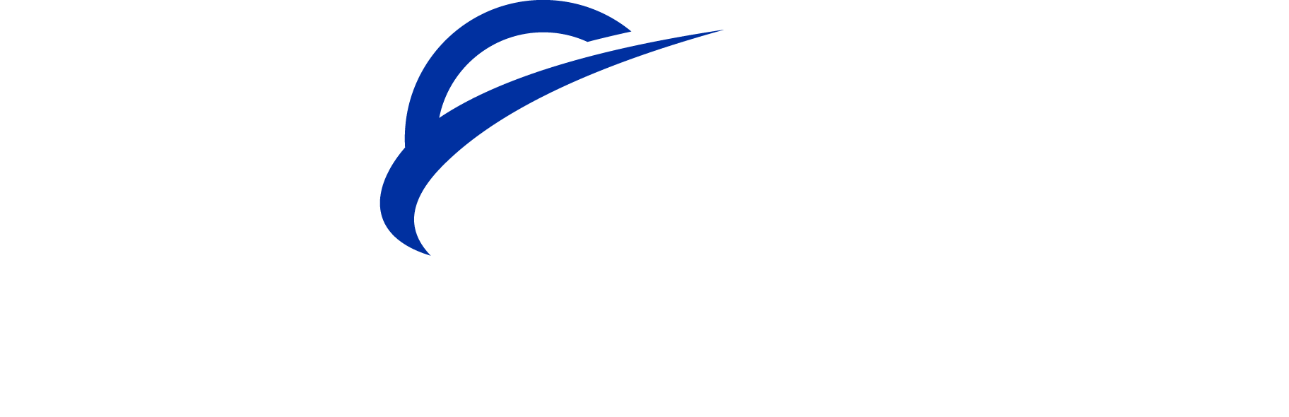 Global Security Solutions